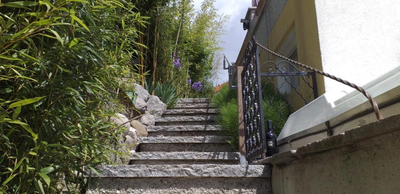 Ferienwohnung Wiesmuehlstrasse Henndorf am Wallersee Extérieur photo