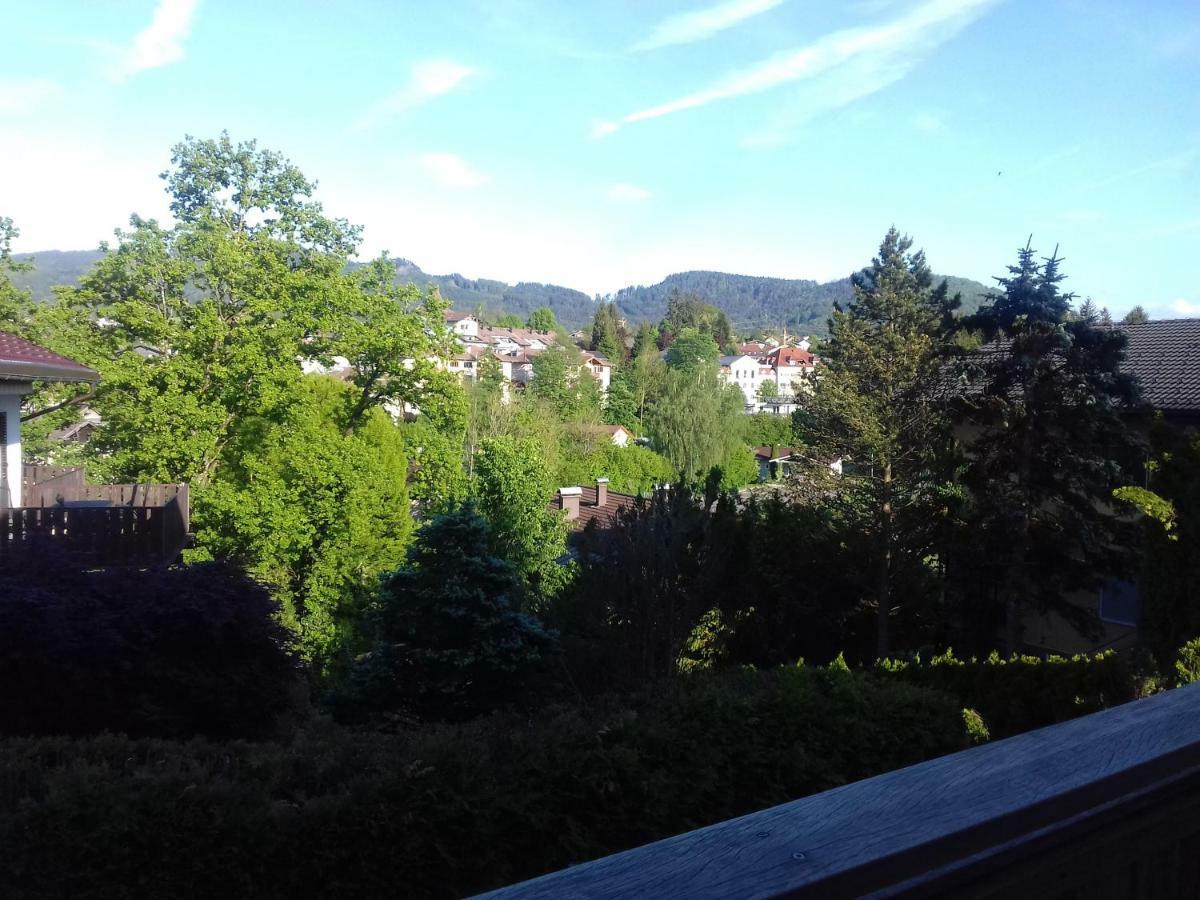 Ferienwohnung Wiesmuehlstrasse Henndorf am Wallersee Extérieur photo